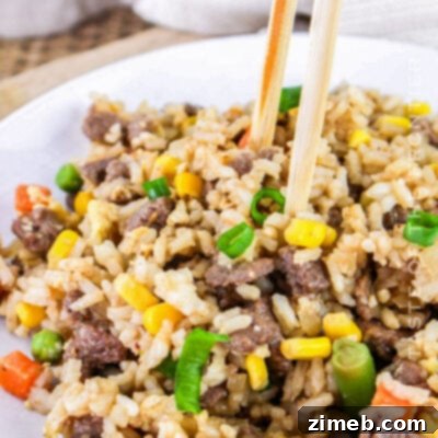 Garden Fresh Noodle Stir-Fry 11 Steak Fried Rice