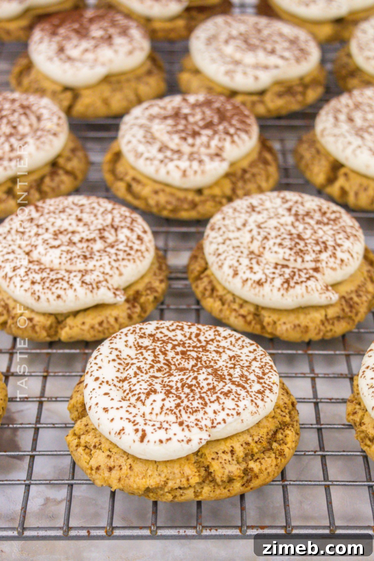 Mascarpone frosted dessert with cocoa dusting.