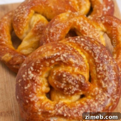 Artisan Sourdough Pretzels 16 Sourdough Pretzels