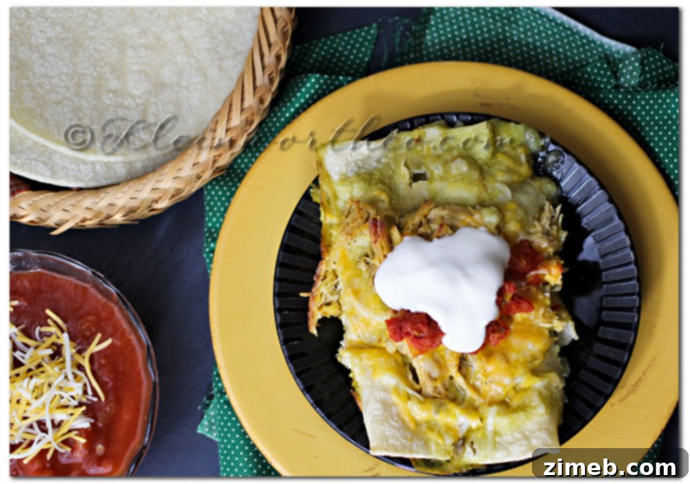 Close-up of golden baked chicken enchiladas in a pan