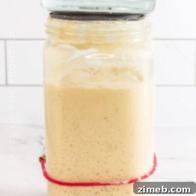 Bringing Your Sourdough to Life 18 Sourdough Starter