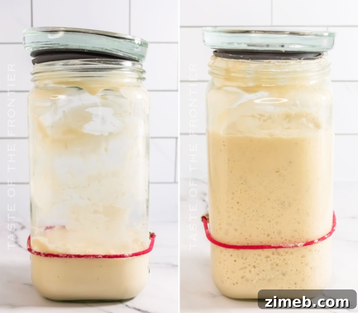Bringing Your Sourdough to Life 9 How to make Sourdough Starter: a graphic showing the step-by-step process of combining ingredients and nurturing the starter.
