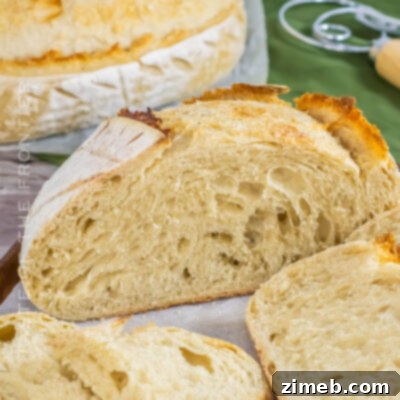 Sourdough Bread Recipe
