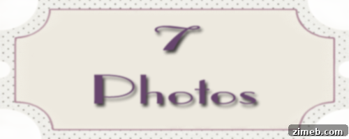 12 Proven Strategies for a Thriving Blog 9 Elevate Your Blog with Stunning Photography