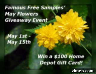 Win a $100 Home Depot Gift Card for your spring projects and home improvements.