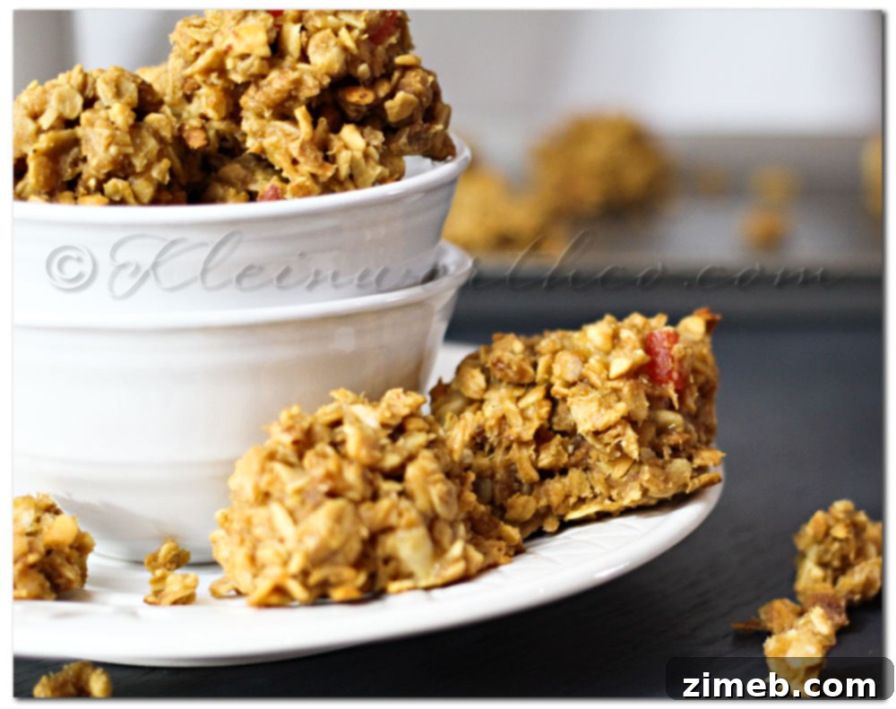 Delicious and healthy Granola Breakfast Bites recipe with wholesome ingredients.