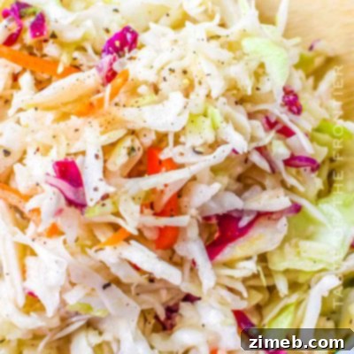 Fresh Red Wine Vinegar Coleslaw in a white bowl.