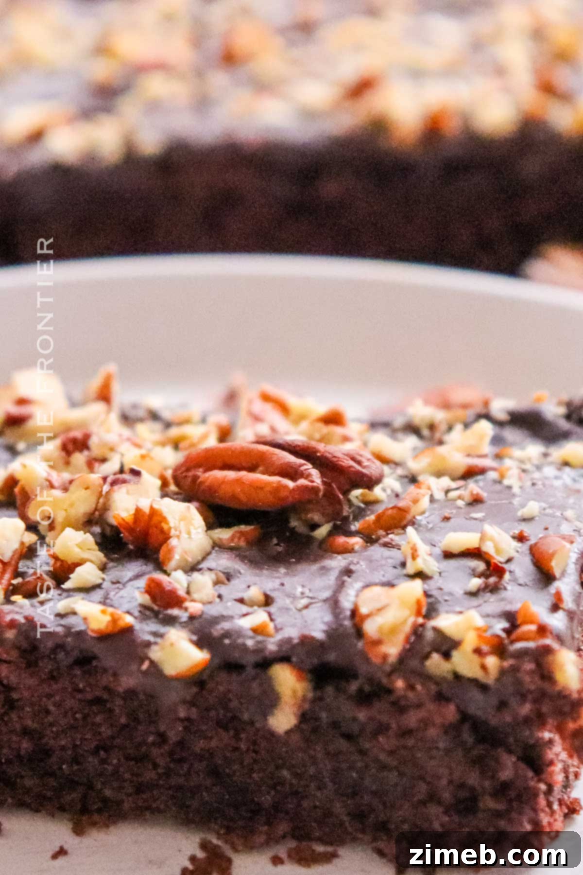 Texas Sheet Cake 9 pecans sprinkled on top
