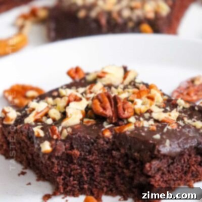 Texas Sheet Cake 17 Texas Sheet Cake