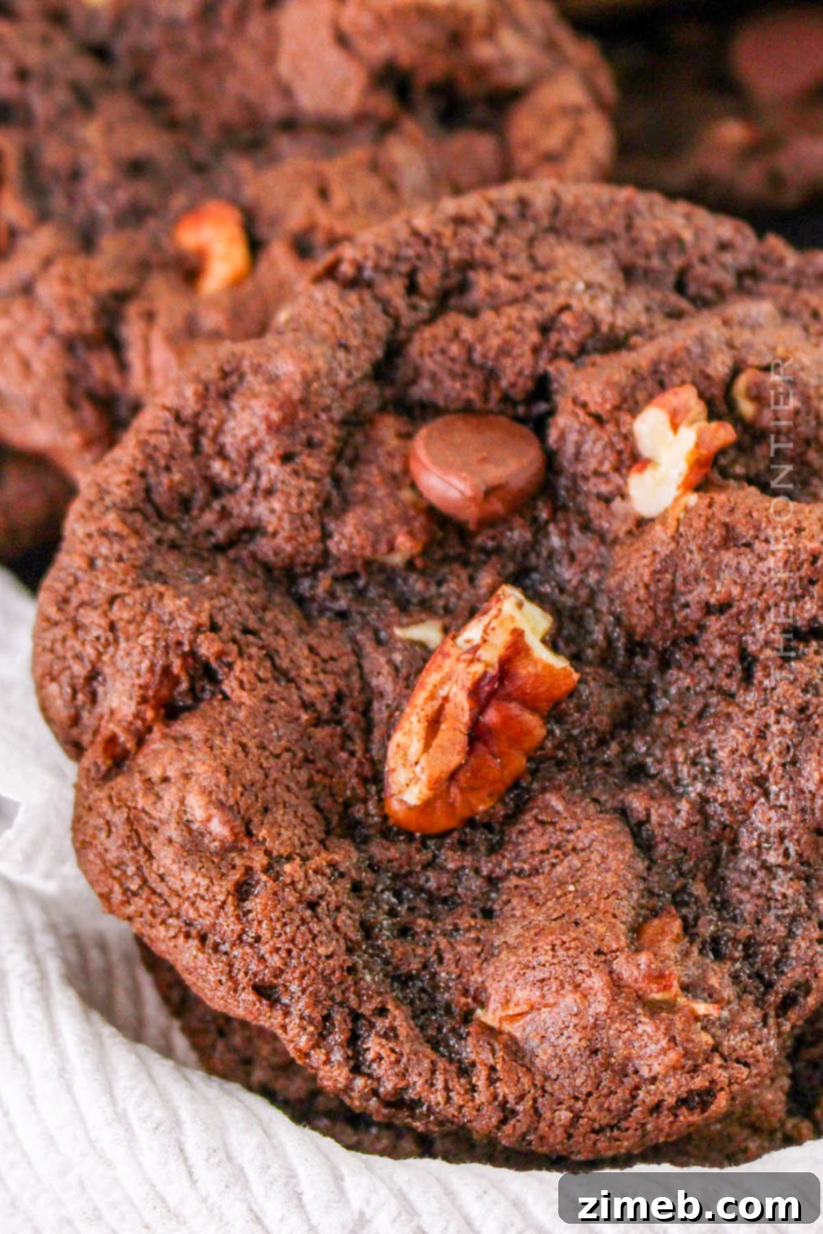 Decadent Double Chocolate Pecan Cookies 2 Chocolate Chocolate Chip Pecan Cookie recipe