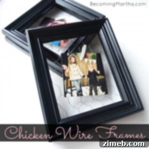 chicken wire frames