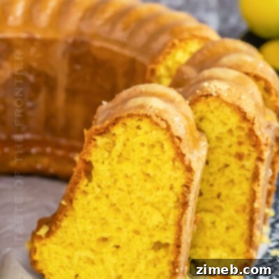 Lemon Pudding Cake