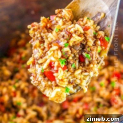 Instant Pot Spanish Rice