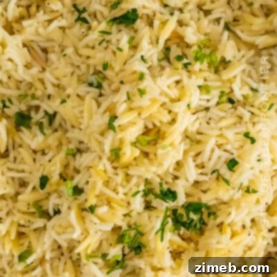 Rice Pilaf with Orzo