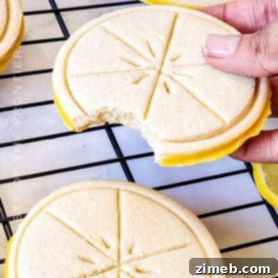 Copycat Girl Scout Lemonades
