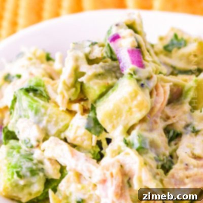 Avocado Chicken Salad Recipe