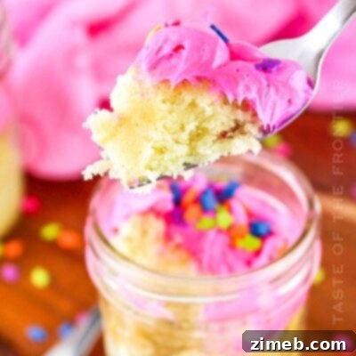 Showstopping Party Dessert Bowl 10 Cake in a Jar