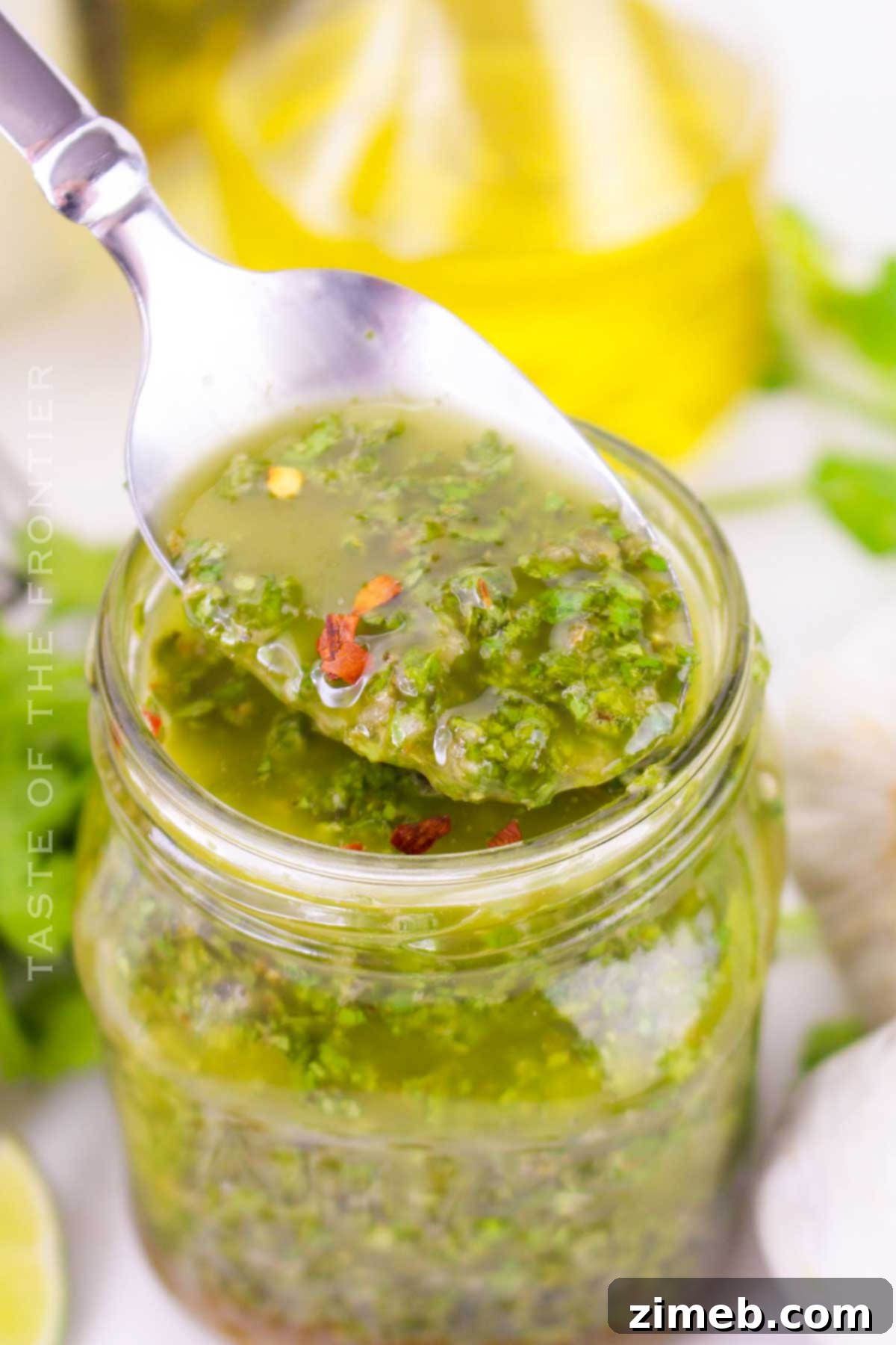 Cilantro Chimichurri Sauce