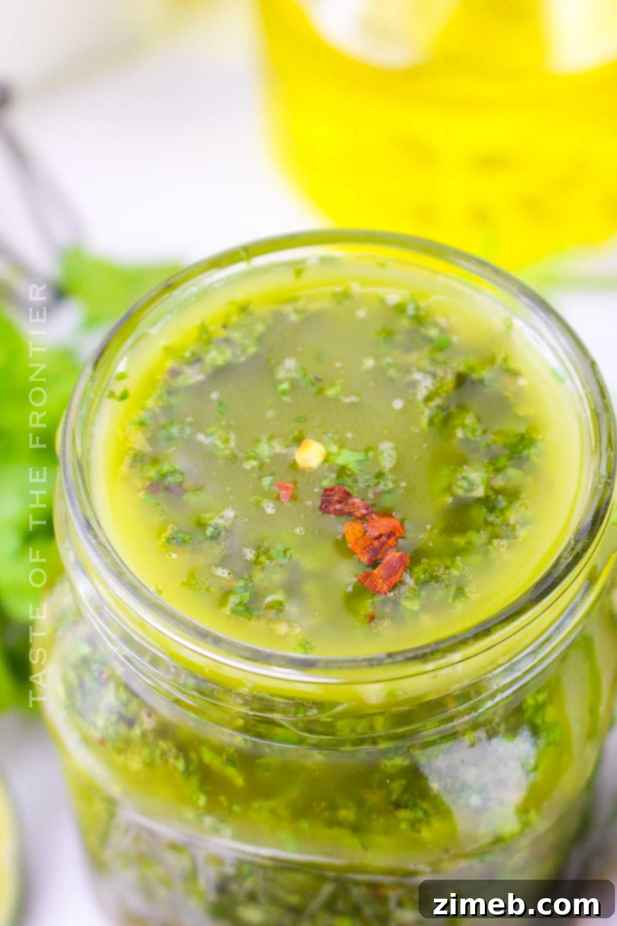 Cilantro Chimichurri Sauce recipe