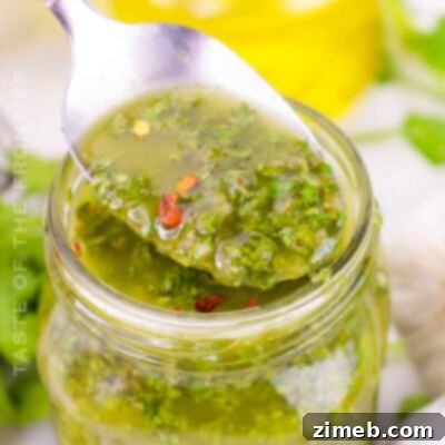 Cilantro Chimichurri Sauce