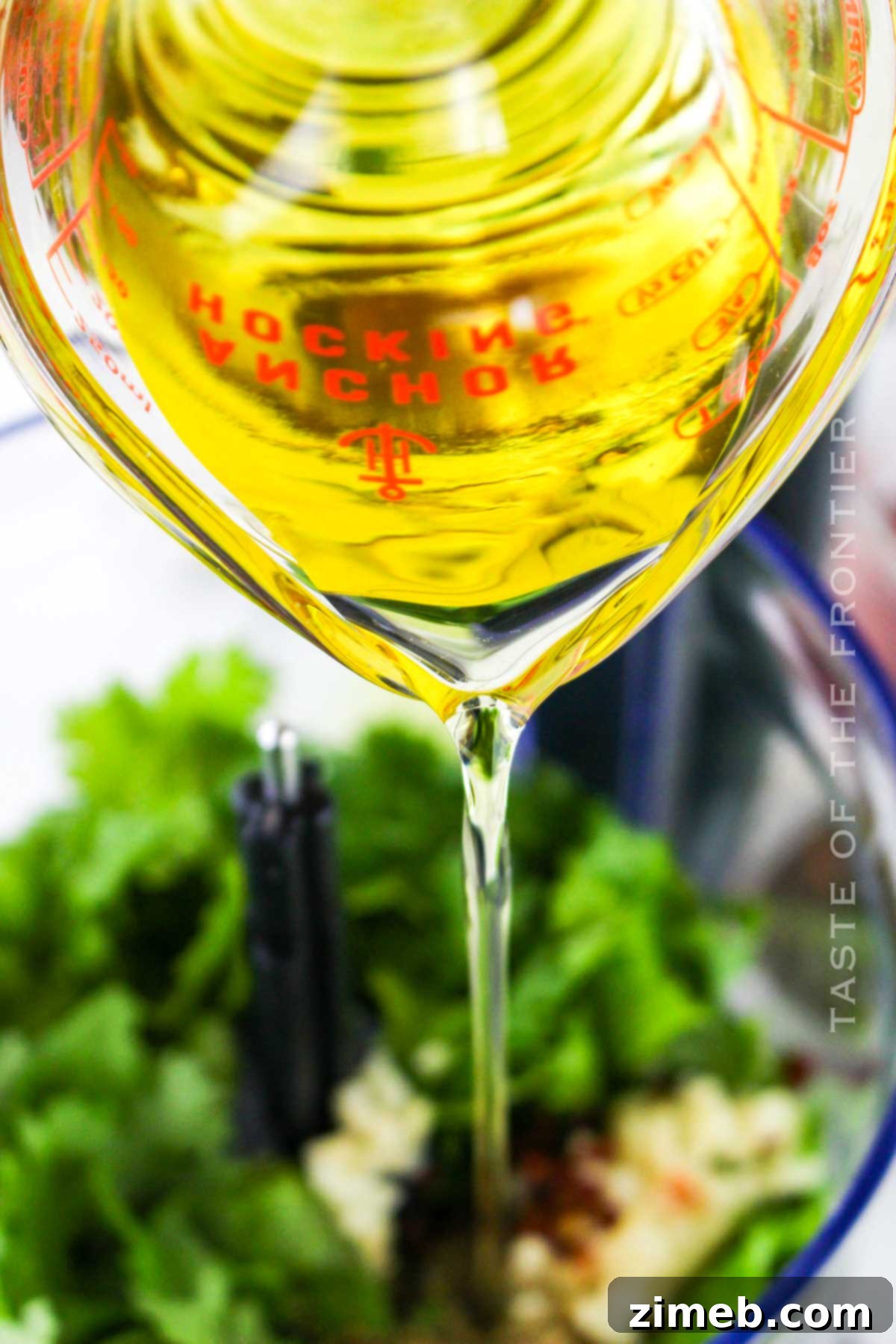 how to make Cilantro Chimichurri Sauce