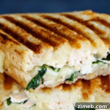 Chicken Caesar Masterpiece 13 Chicken & Spinach Grilled Goat Cheese Sandwich