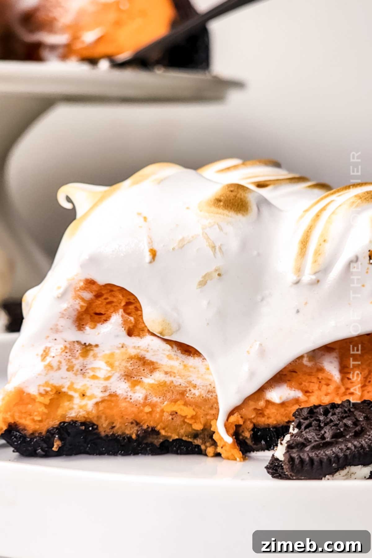 Spooktacular Cheesecake 7 Beautifully torched meringue topping on a Halloween Cheesecake.