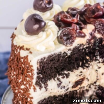 Black Forest Gateau 16 Decadent Black Forest Cake recipe with whipped cream and fresh cherries