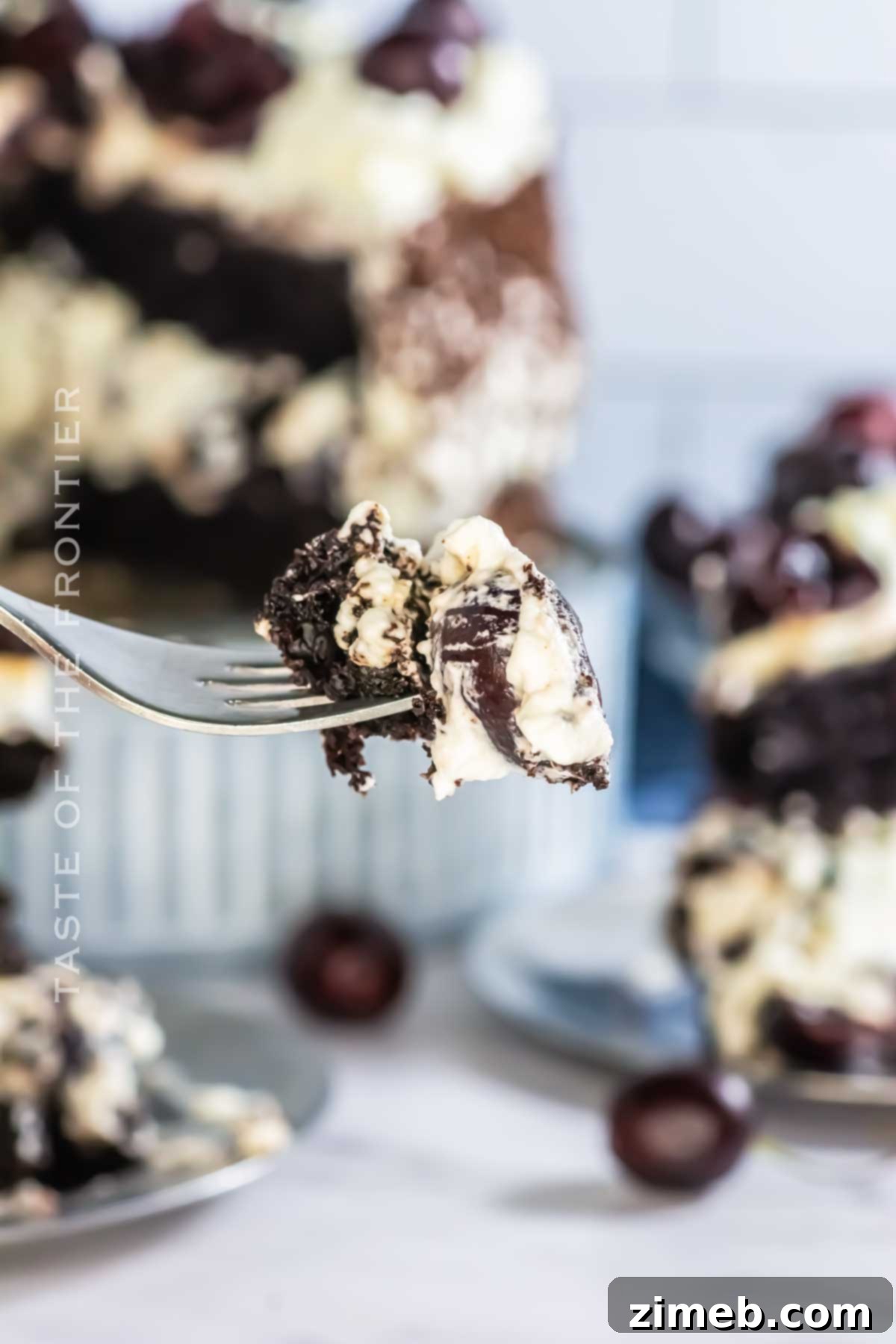 Black Forest Gateau 9 A delectable bite of Black Forest Cake showing the layers
