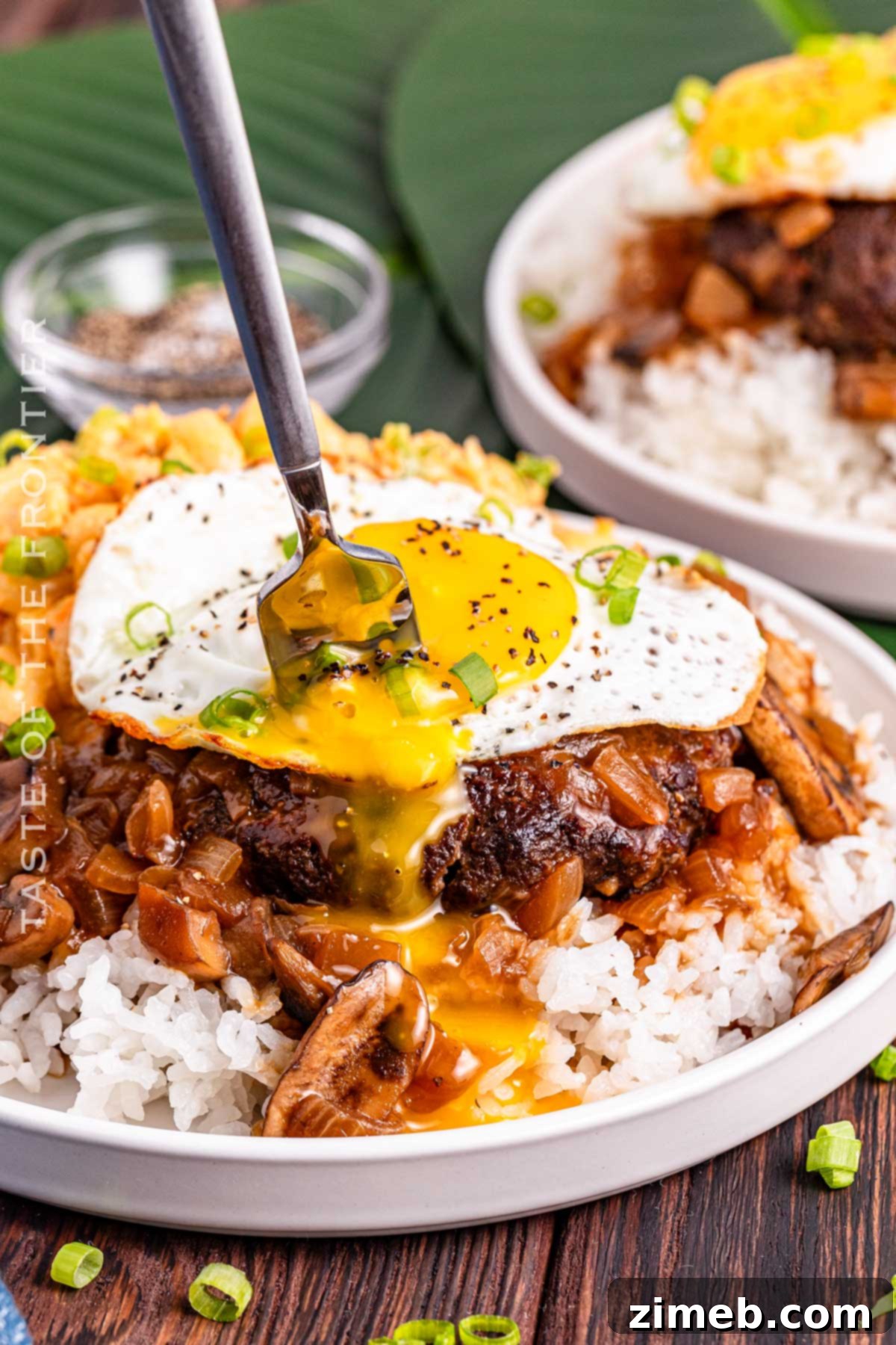 Hawaiian Comfort Plate 14 Hawaiian Moco