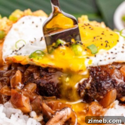 Hawaiian Comfort Plate 16 Loco Moco