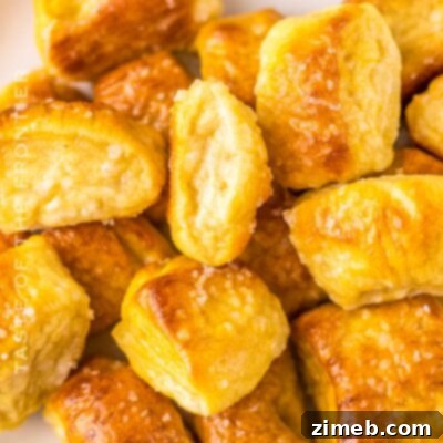 Copycat Auntie Anne’s Pretzel Bites