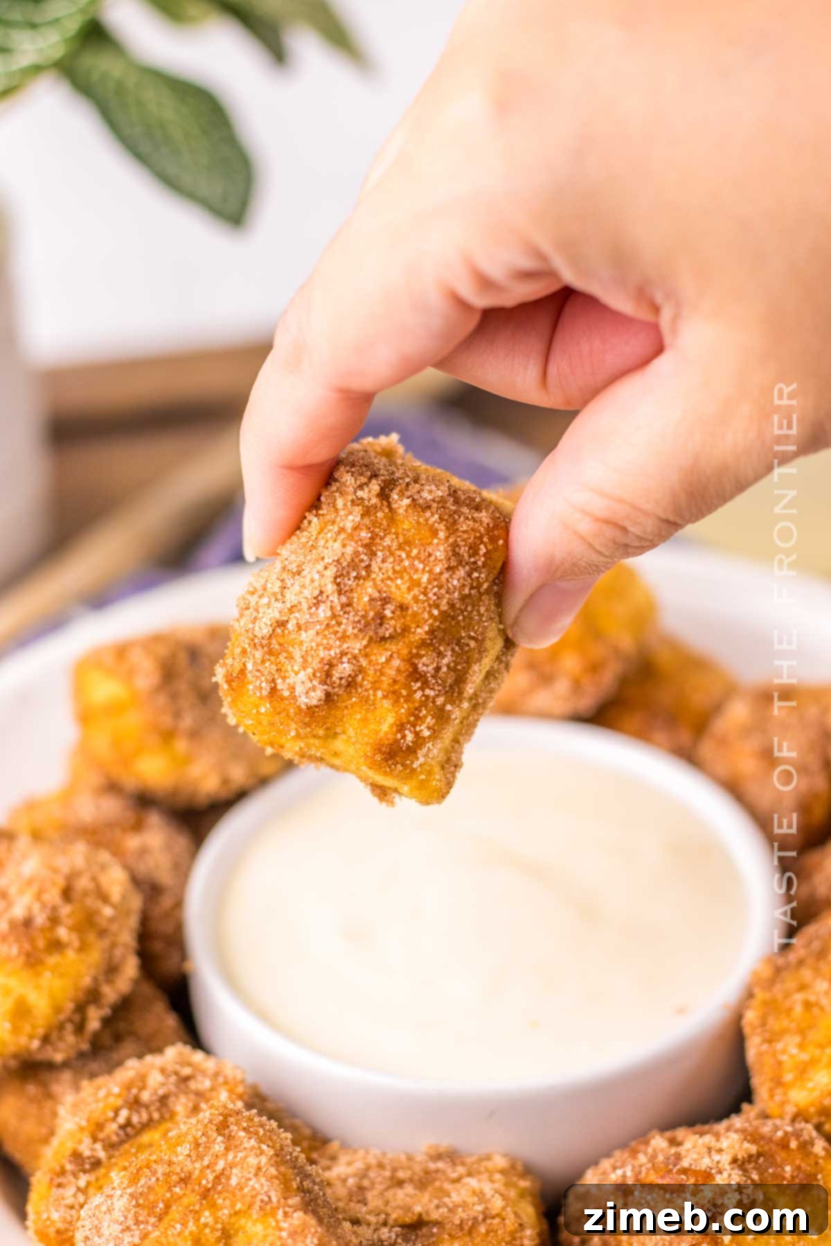 Perfect Homemade Auntie Anne's Pretzel Bites 3 Copycat Auntie Anne’s Pretzel Bites - Cinnamon and Sugar