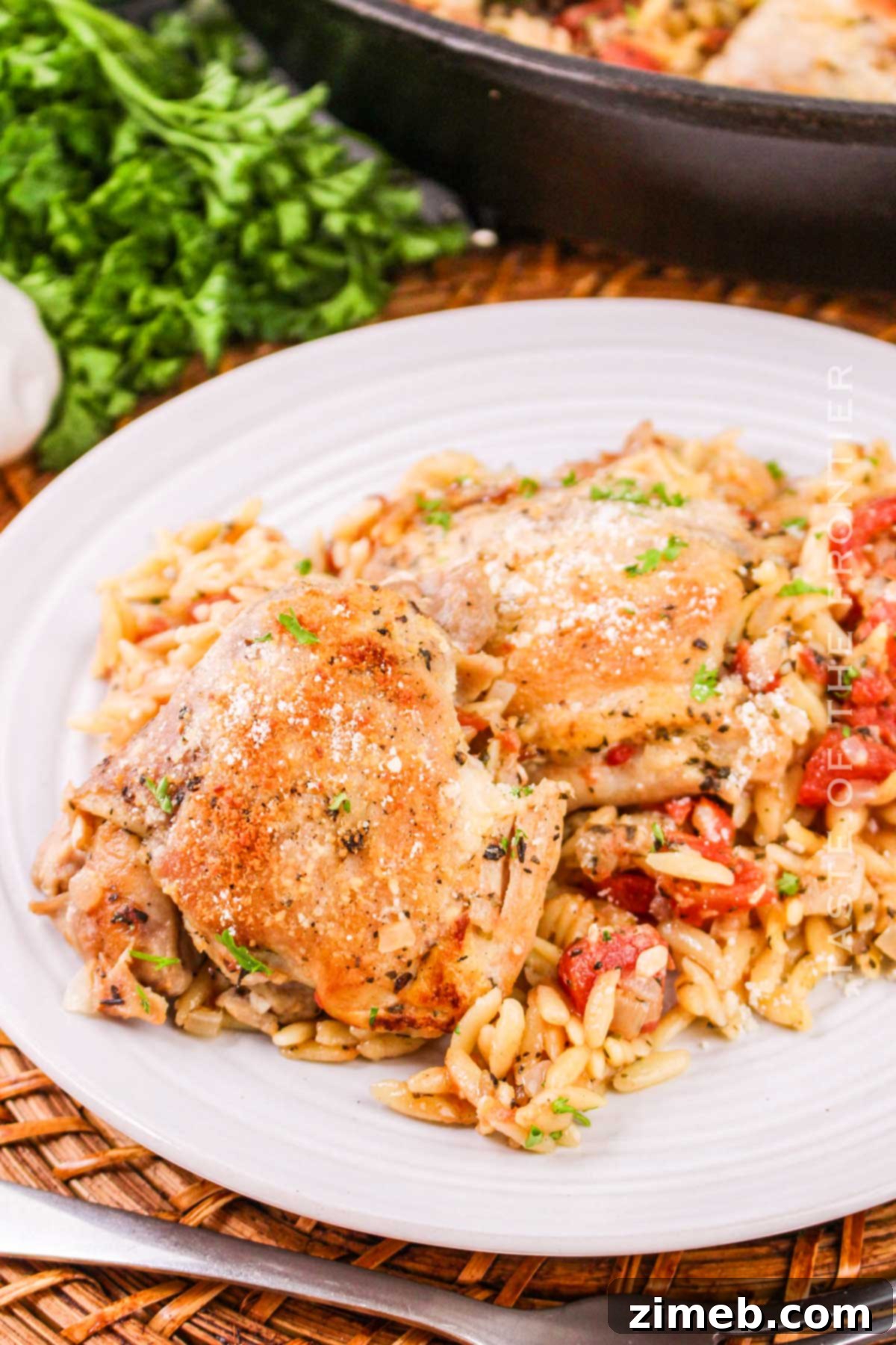 Chicken Orzo Bake 14 Orzo Dinner Recipe - Baked Chicken and Orzo for family meals.