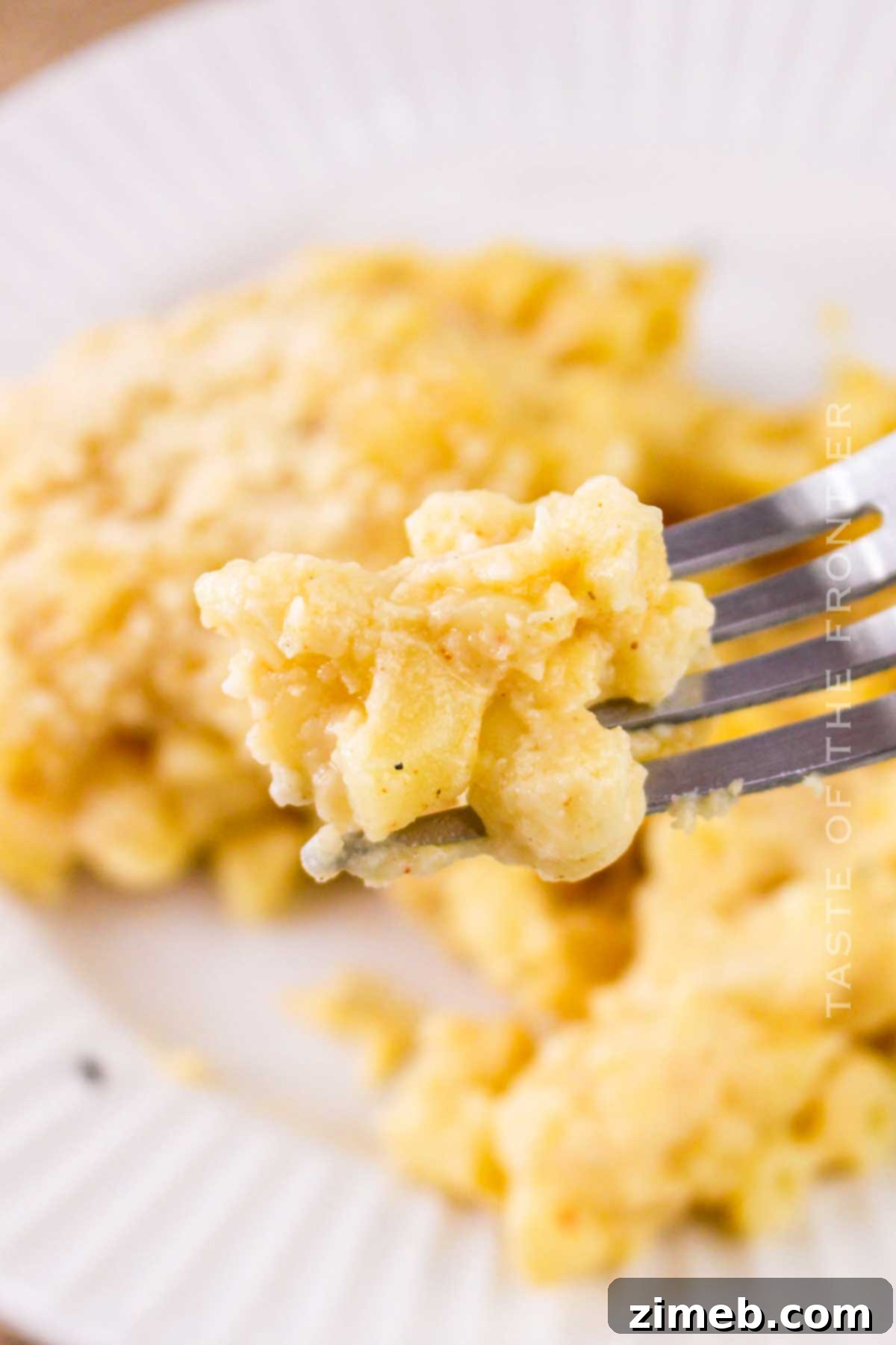 Creamy pasta with melted cheese ready to serve