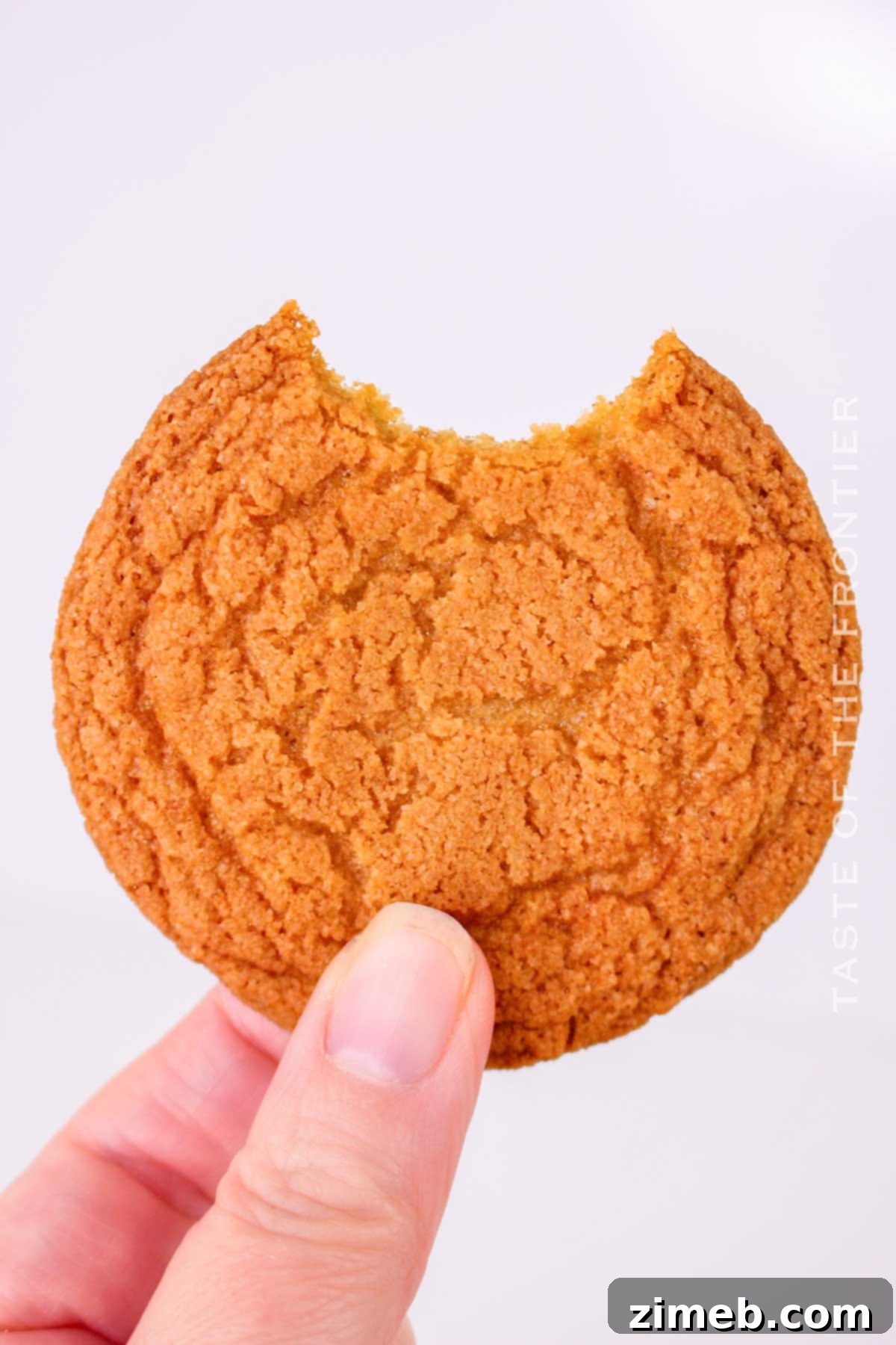 Smooth Chocolate Cookies 2 Delicious and chewy chocolate chipless cookies stacked up