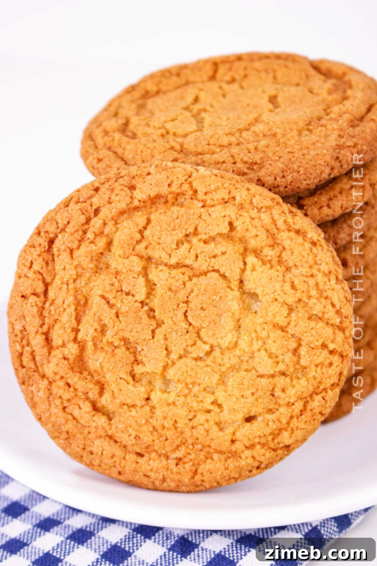Smooth Chocolate Cookies 15 A close-up of a delicious chipless cookie