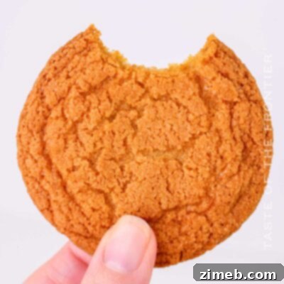 Chocolate Chipless Cookies
