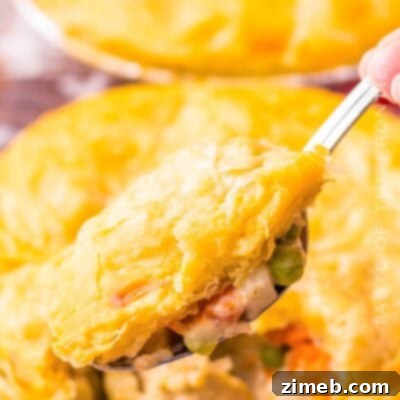 Southern Comfort Chicken Pot Pie 16 Copycat KFC Chicken Pot Pie