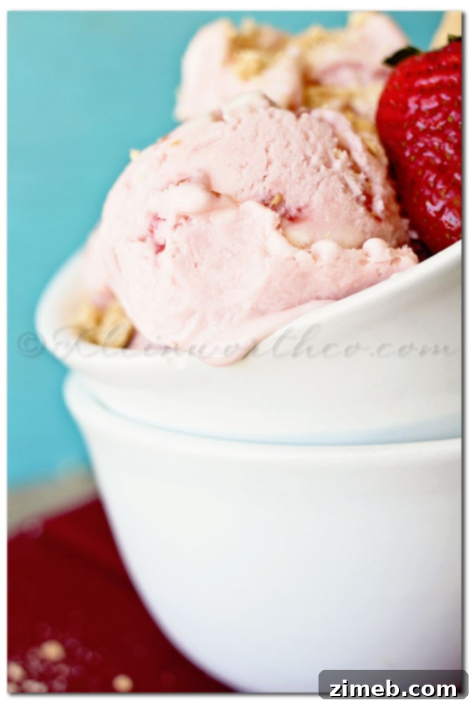 Strawberry Cheesecake FroYo Dream 4 Individual serving of Strawberry Cheesecake Frozen Yogurt, garnished with fresh fruit.