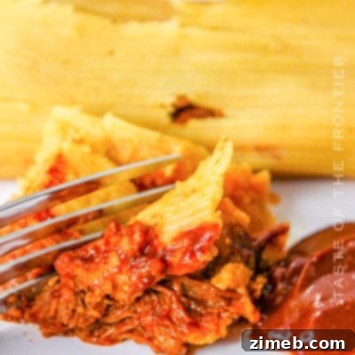 Recipe for Instant Pot Pork Tamales