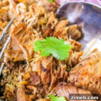 Instant Pot Pork Carnitas