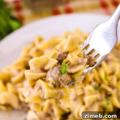 Ground Beef and Noodles