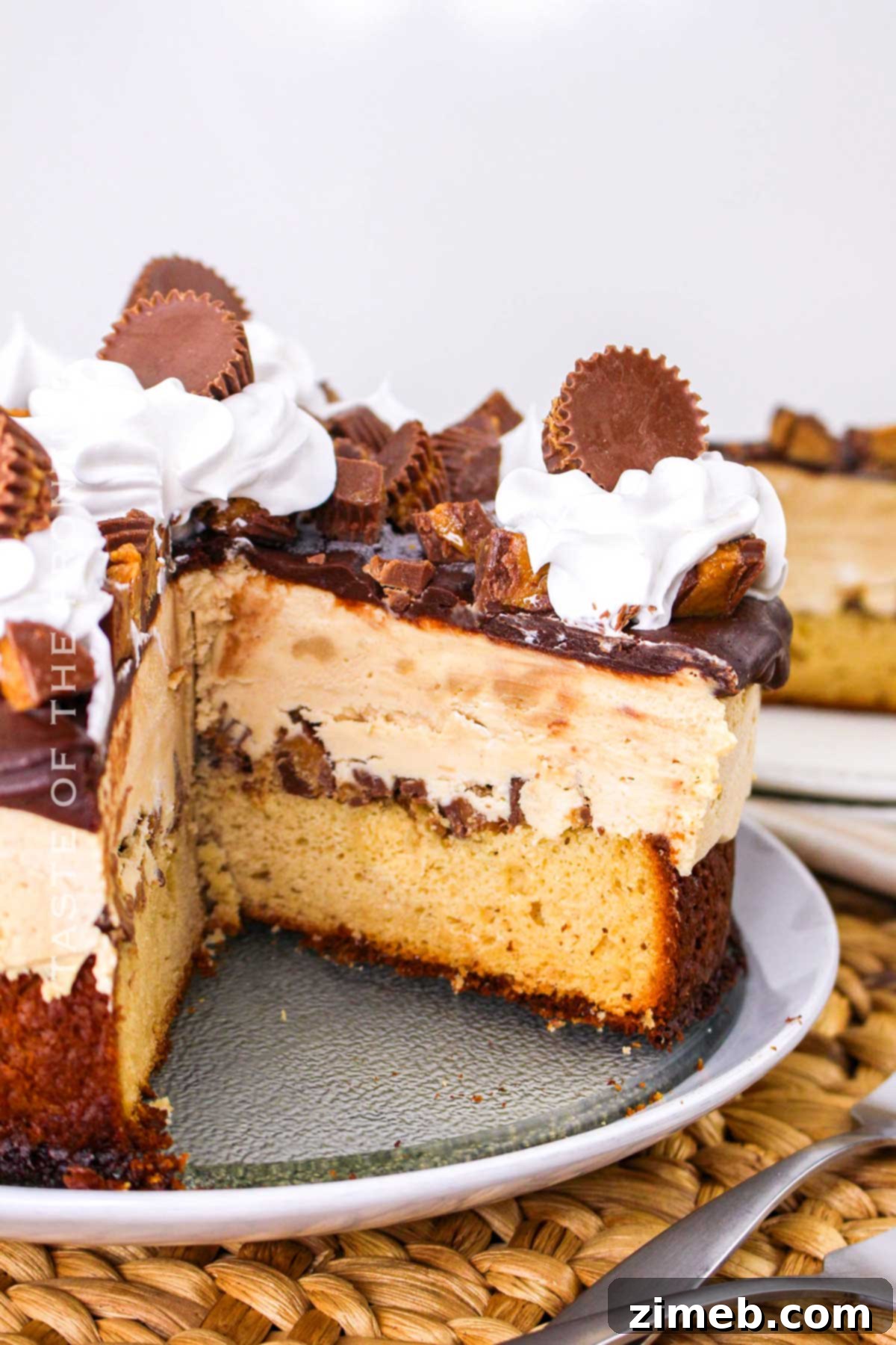 Decadent Peanut Butter Cup Ice Cream Cake 14 Celebrate with a homemade ice cream cake