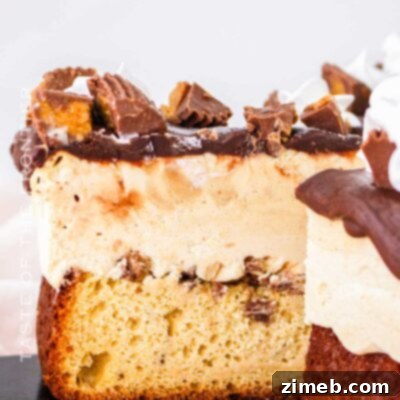 Decadent Peanut Butter Cup Ice Cream Cake 16 Peanut Butter Cup Ice Cream Cake