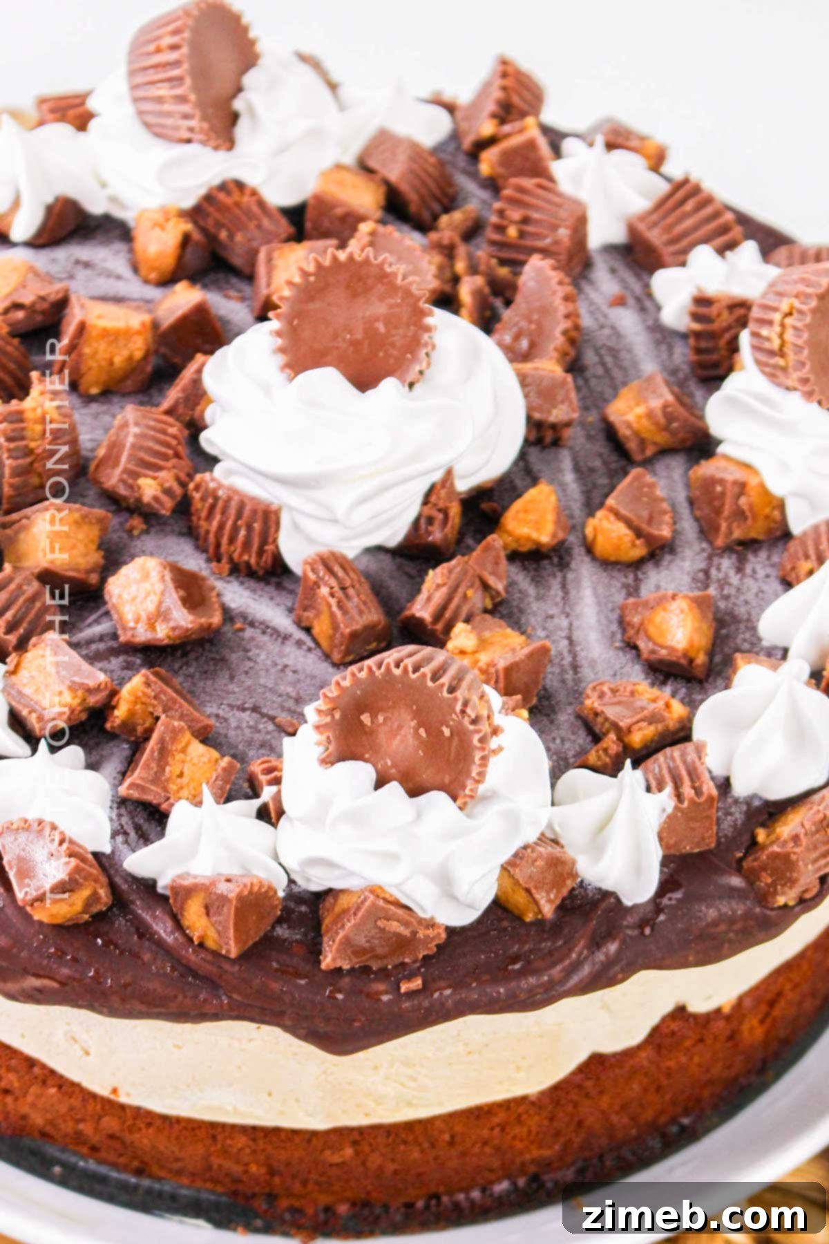 Decadent Peanut Butter Cup Ice Cream Cake 3 Easy Peanut Butter Cup Ice Cream Cake recipe for home bakers