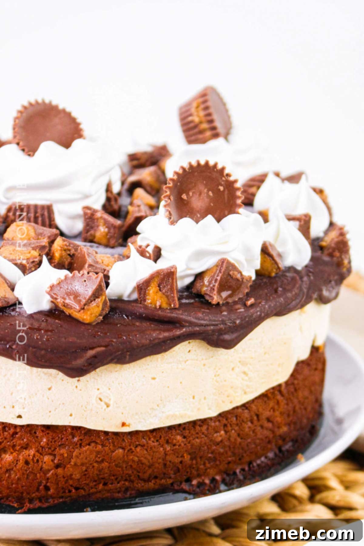 Decadent Peanut Butter Cup Ice Cream Cake 8 Delicious slice of Peanut Butter Cup Ice Cream Cake