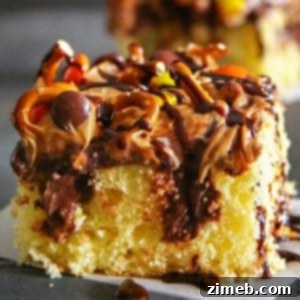 Decadent Peanut Butter Cup Ice Cream Cake 10 Peanut Butter Pretzel Poke Cake
