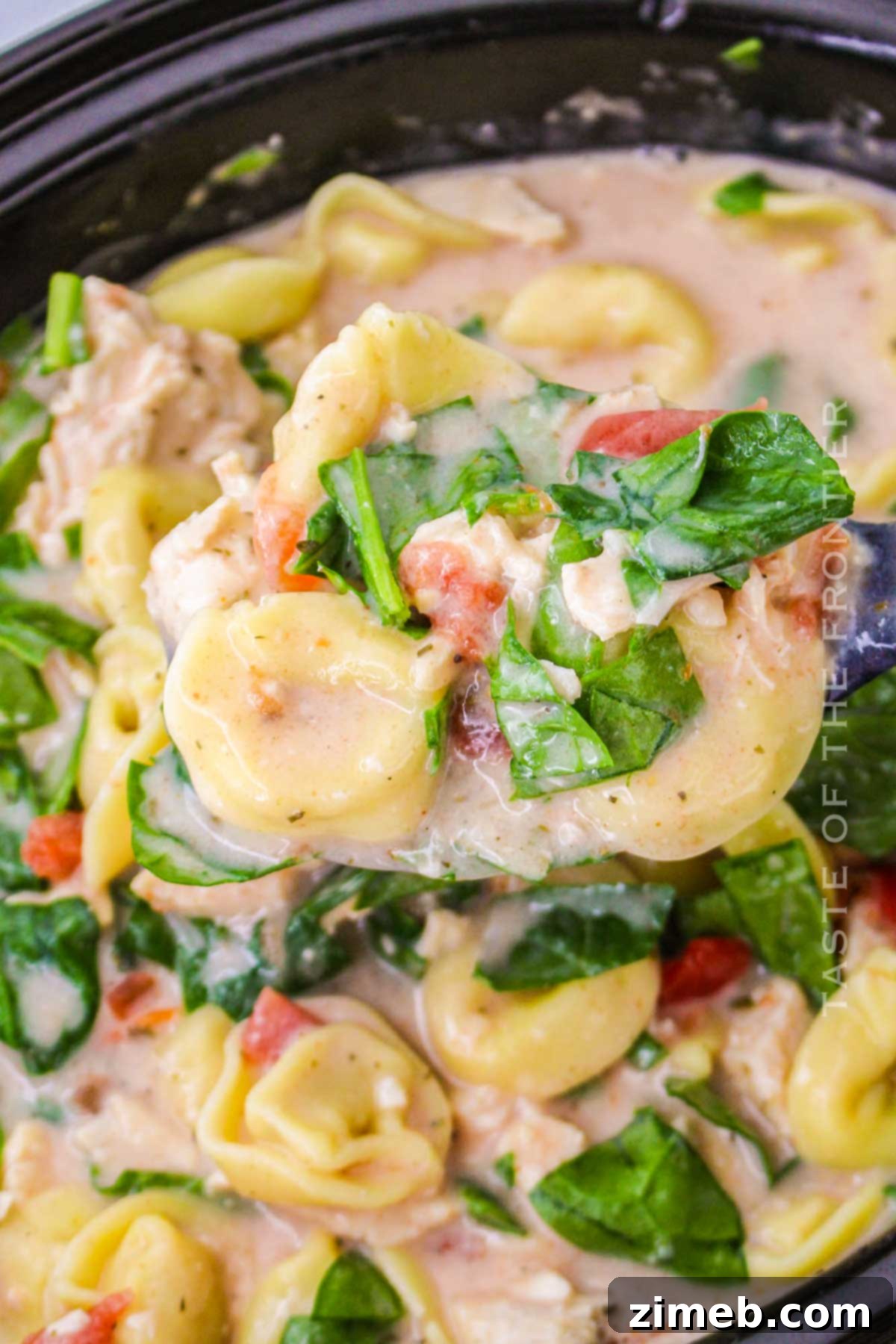 Delicious Chicken and Tortellini recipe