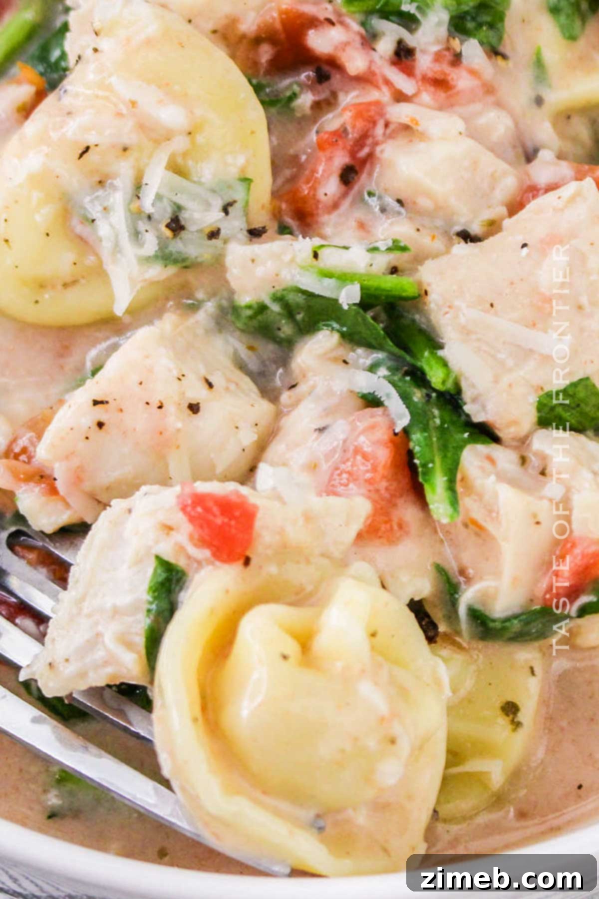 Chicken and Tortellini soup in a bowl